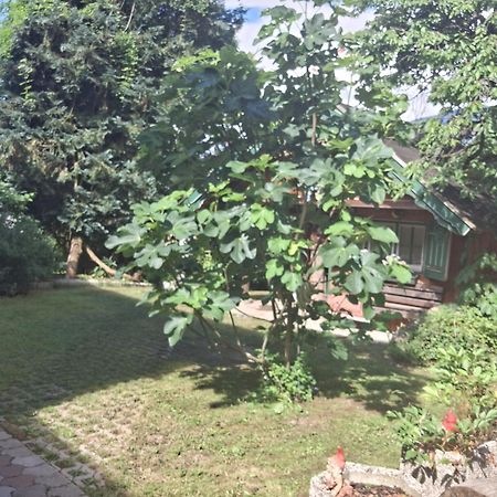 Ganzes Haus Mit Almcharakter Villa Lieserbrucke Luaran gambar