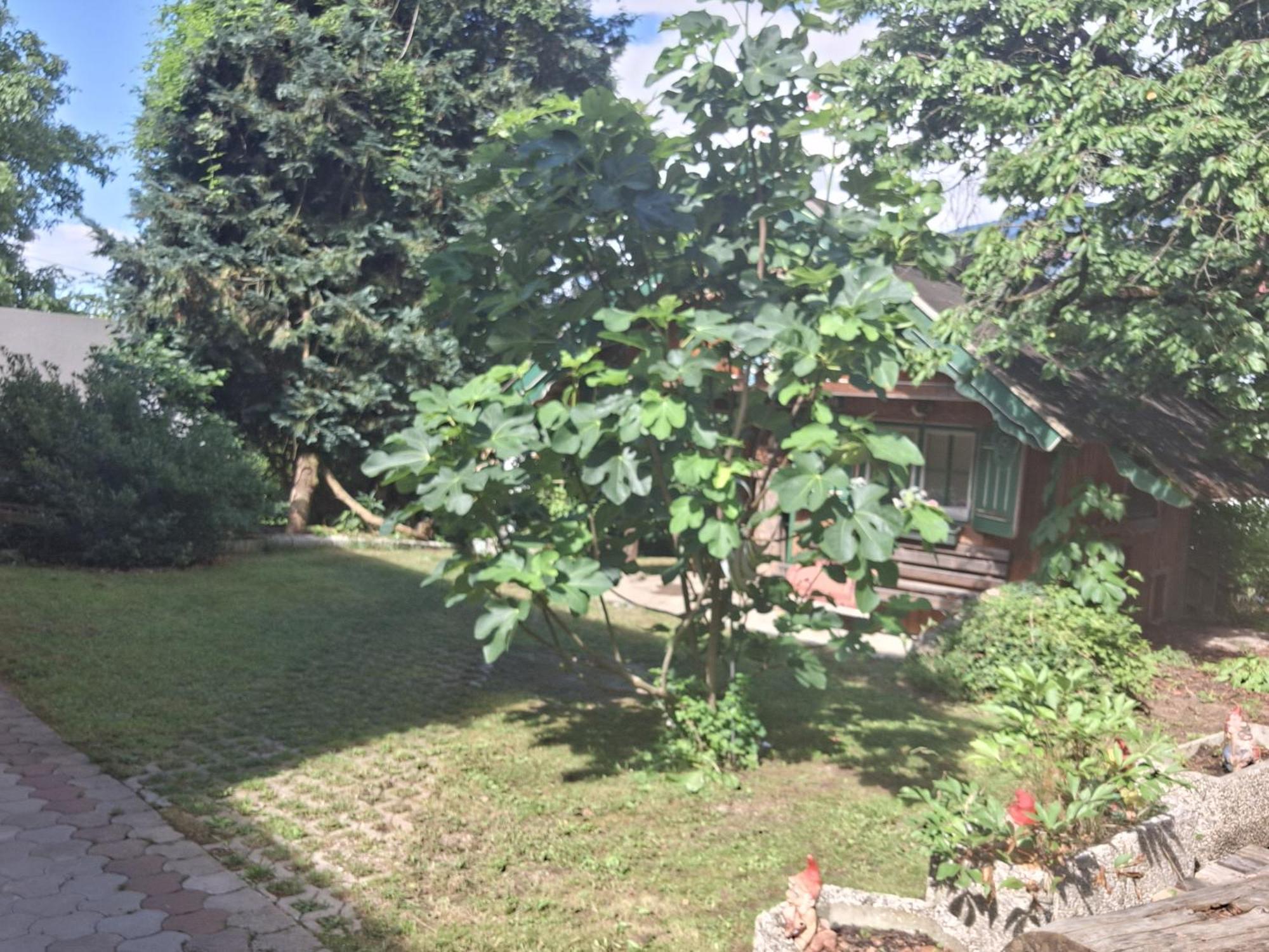 Ganzes Haus Mit Almcharakter Villa Lieserbrucke Luaran gambar